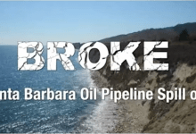 The Marjorie Luke Theater Green Film Series Returns with a Powerful Message of Conservation